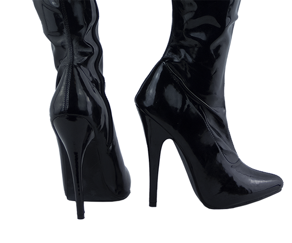 6 inch heel boots from pleaser